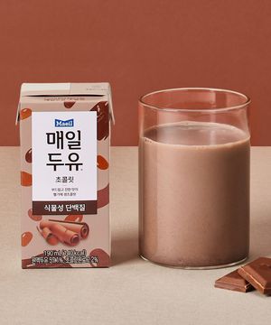 매일두유 초콜릿 190ml 48팩