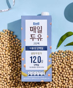 매일두유 고단백 950ml 10팩