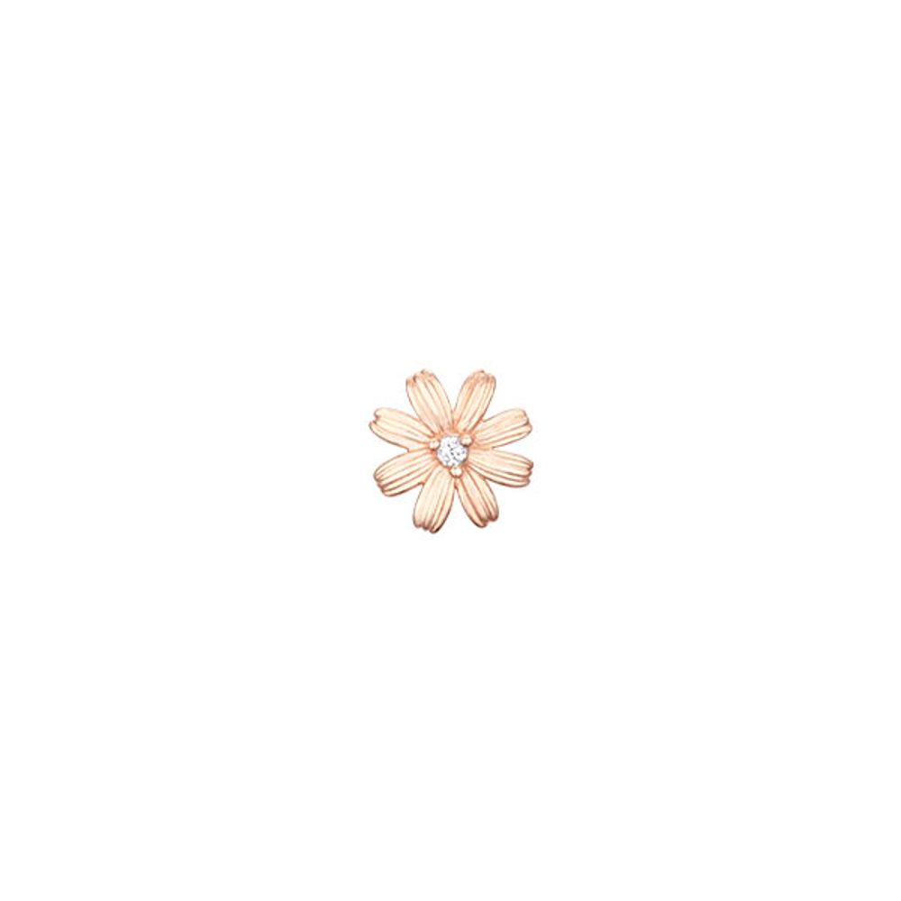 DAISLY 14K 귀걸이 (JJDAEQ5B3251R4P00)