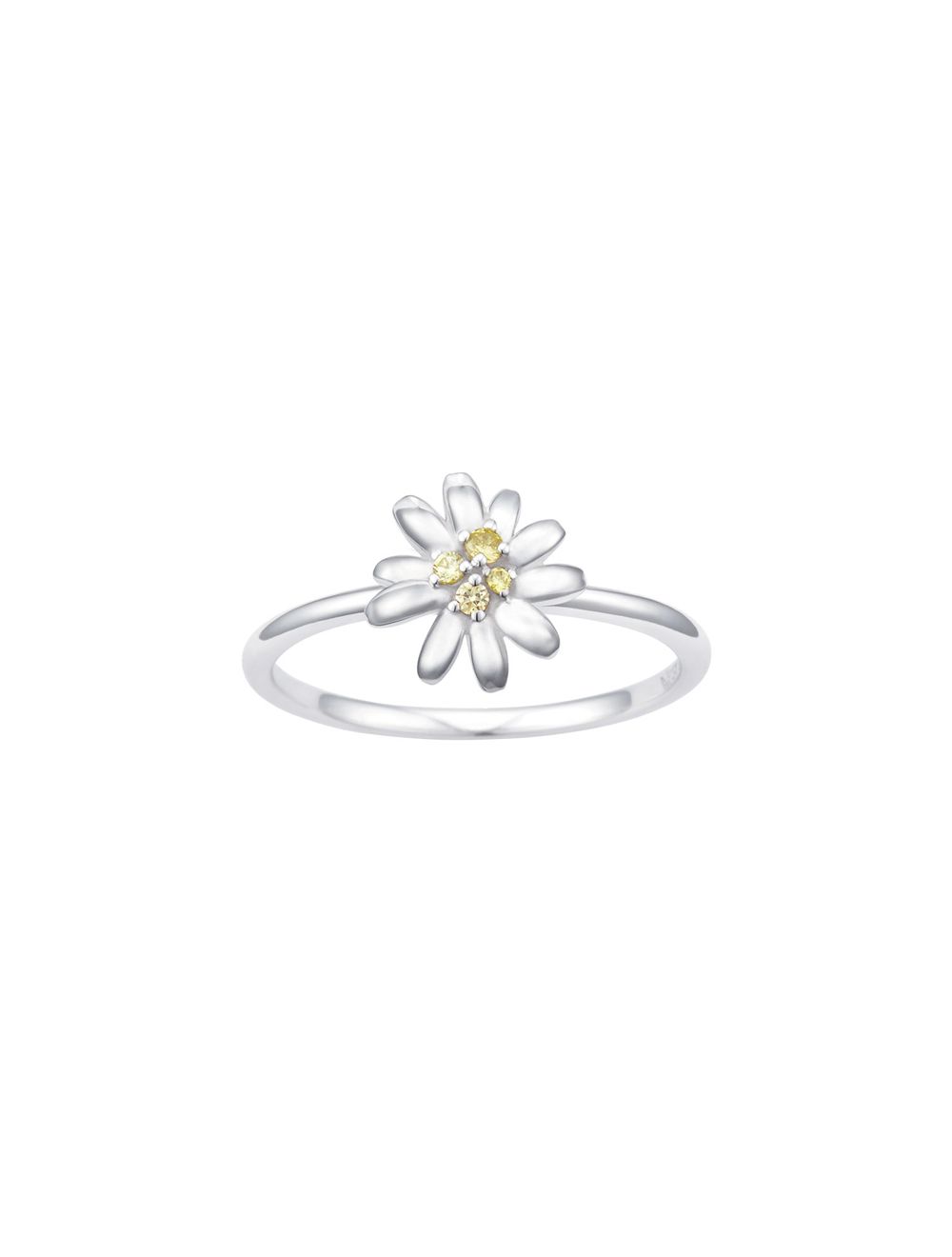 DAISLY 반지 (JJDARQ5B3252SW110)