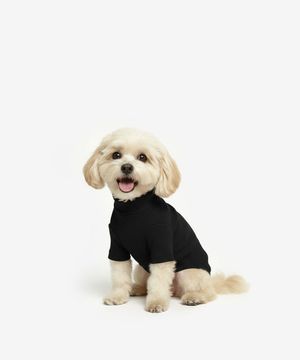 강아지 베이직 목폴라 (블랙)