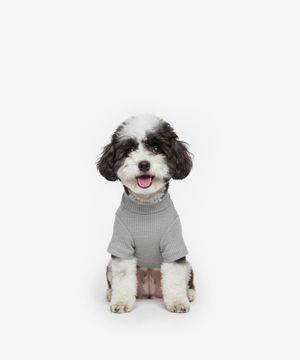 강아지 베이직 목폴라 (그레이)