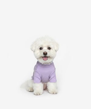 강아지 베이직 목폴라 (바이올렛)