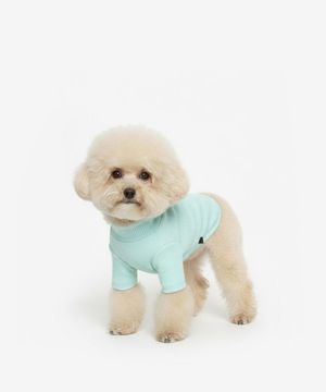 강아지 베이직 목폴라 (민트)