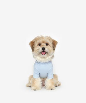 강아지 베이직 목폴라 (소라)