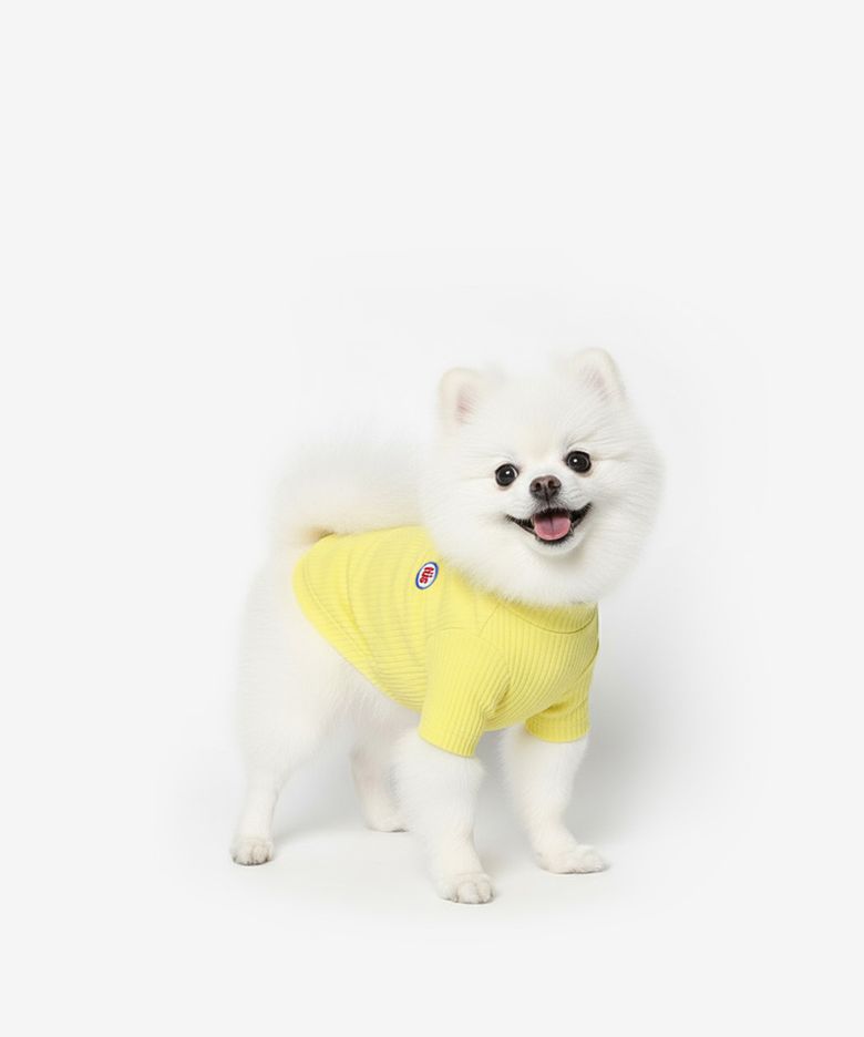 강아지 베이직 목폴라 (레몬)