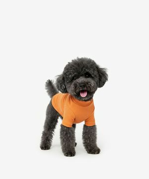 강아지 베이직 목폴라 (오렌지)
