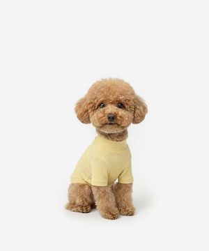 강아지 베이직 목폴라 (옐로우)