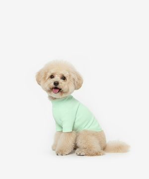 강아지 베이직 목폴라 (라임)