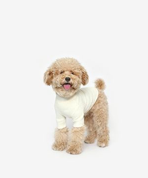 강아지 베이직 목폴라 (아이보리)