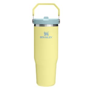 아이스플로우 플립 스트로 2.0 텀블러 887ml 포멜로