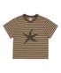 TCM starfish stripe T (brown)