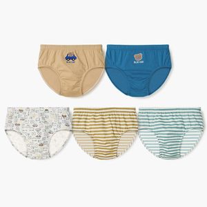 2025남아동 키즈베어 삼각팬티 5종 PACK