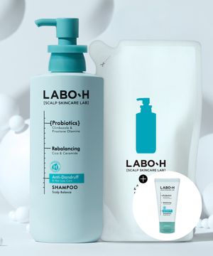 댄드러프클리닉 비듬/각질/가려움 두피케어 샴푸 (본품+리필) 400ml 2입 기획 + 증정