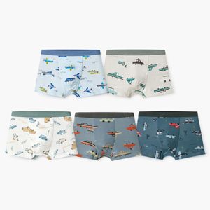 2025남아동 드로잉카 드로즈 5종 PACK