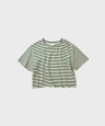 4909846