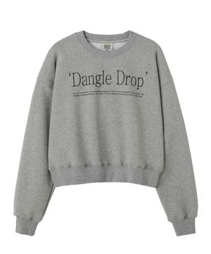 DGDP 타이포 맨투맨 멜란지그레이