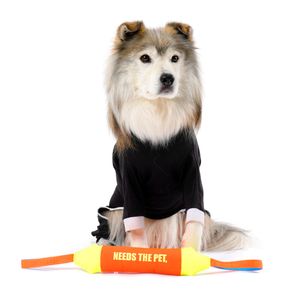 NTP 조이러프 터그 장난감