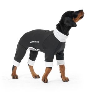 인터라켄 강아지 액티 핏 웨어 올인원 데일리 이너웨어