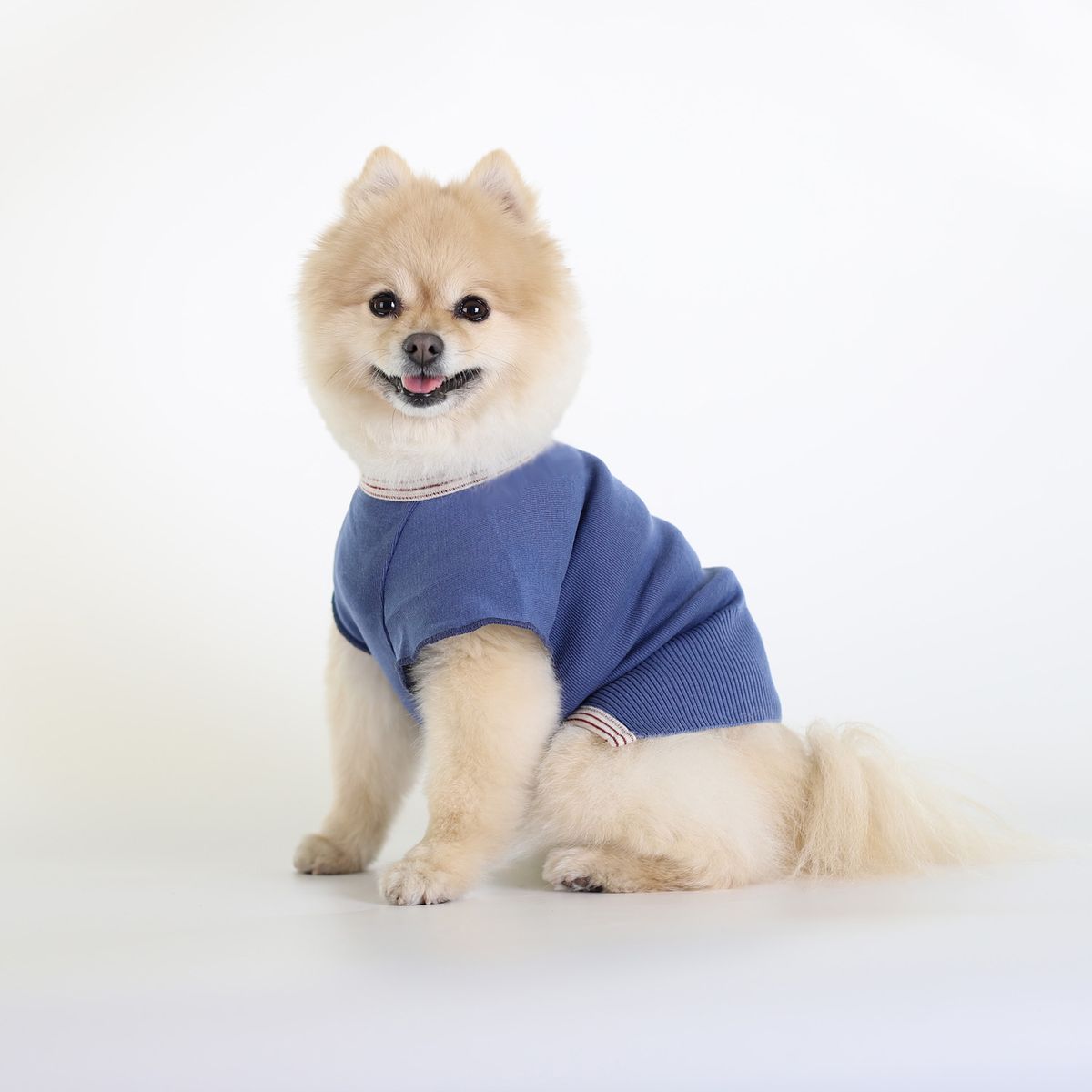 몽루(MONLOUP) 마치 빈티지