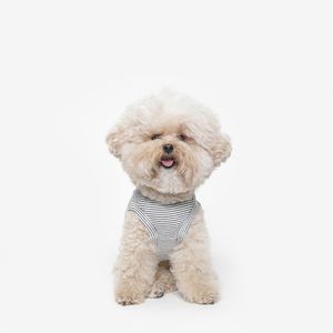 강아지 데일리 민소매 (화이트)