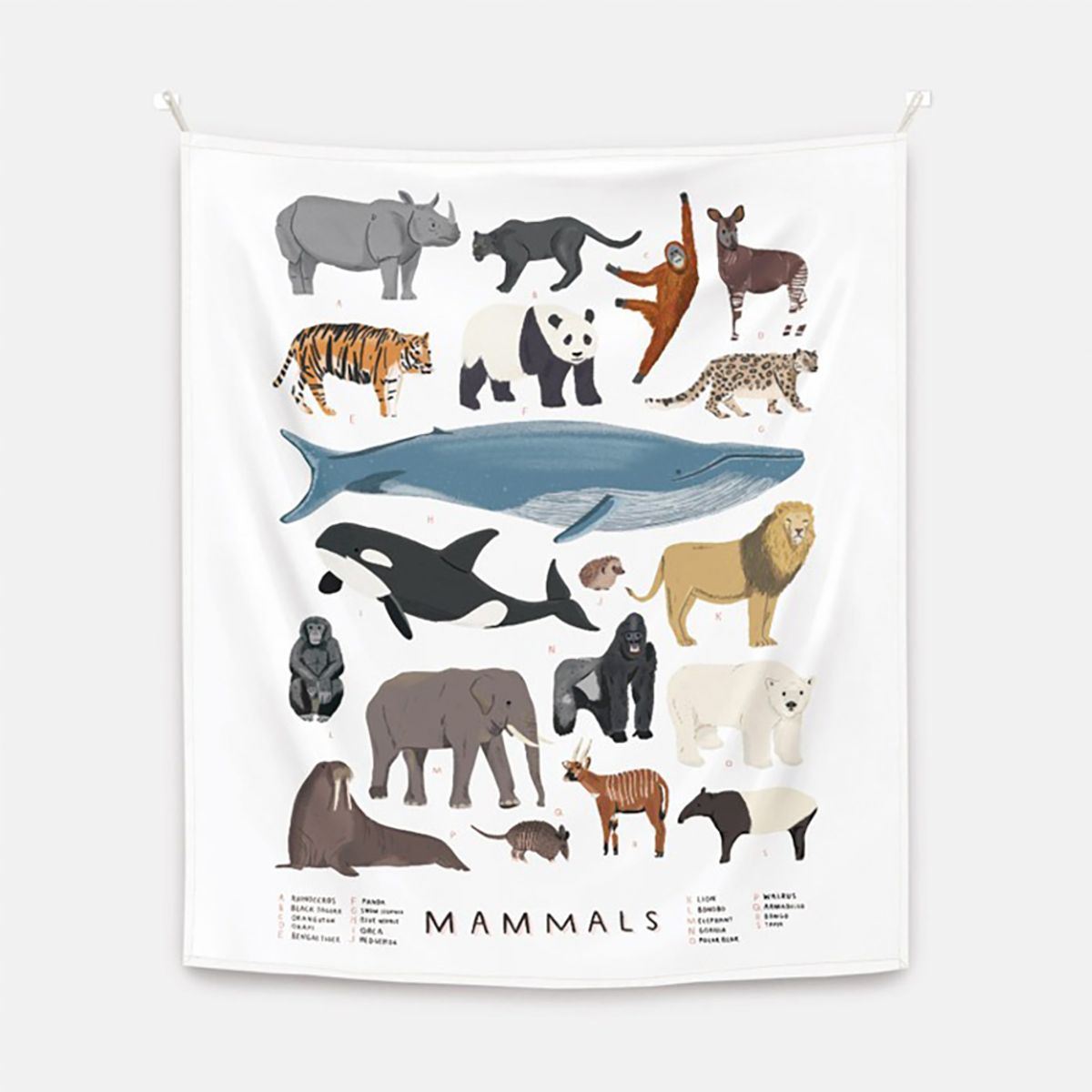 뚜누(TOUNOU) 알렉스 포스터 작가, Mammals 패브릭 포스터 대형