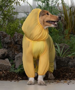 강아지 해충방지옷 올인원 버그가드 수트 옐로우