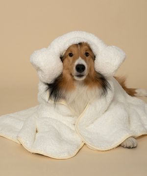 반려동물 극세사 자이언트 펫타올