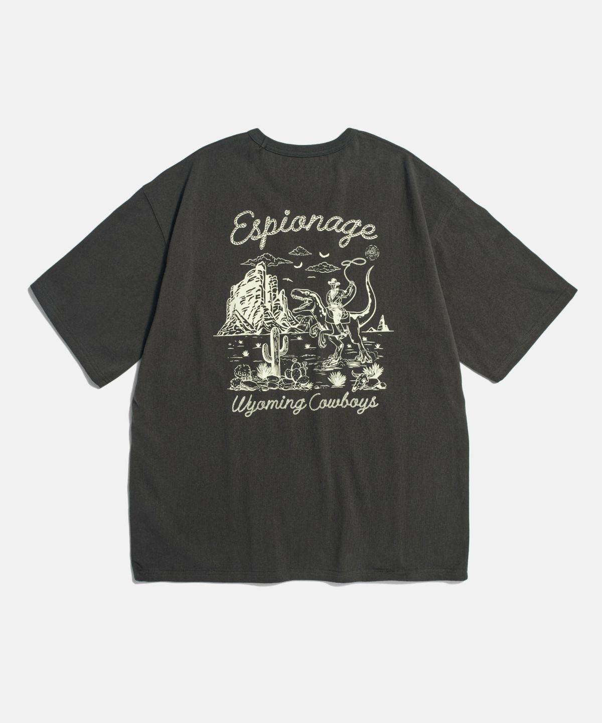 에스피오나지(ESPIONAGE) Wyoming Cowboys Heavyweight Tee Vintage Black