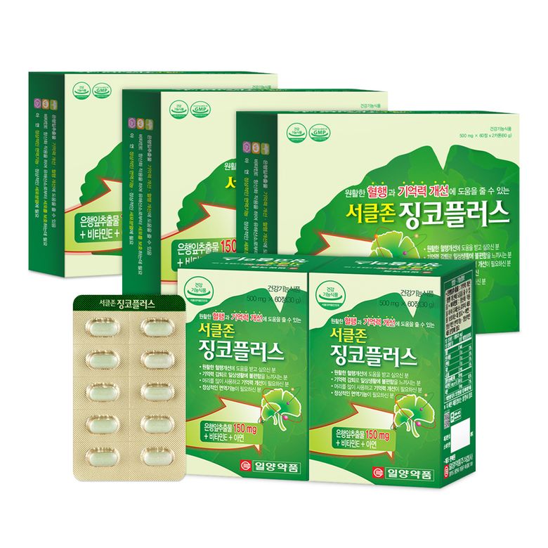은행잎추출물 징코 플러스 비타민E 아연 영양제 12개월분 혈액순환 기억력