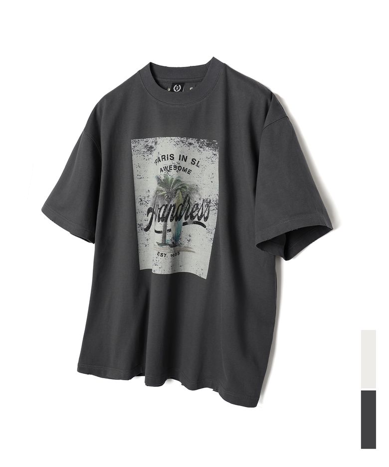 Palm Tree T-shirt - 2COL