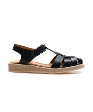 Thumbnail 0