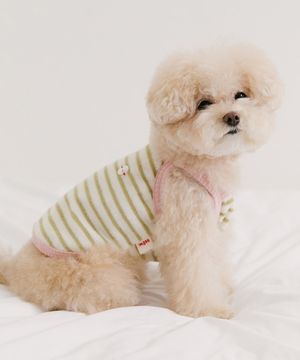 젤라또 테리 탑 - 피스타치오