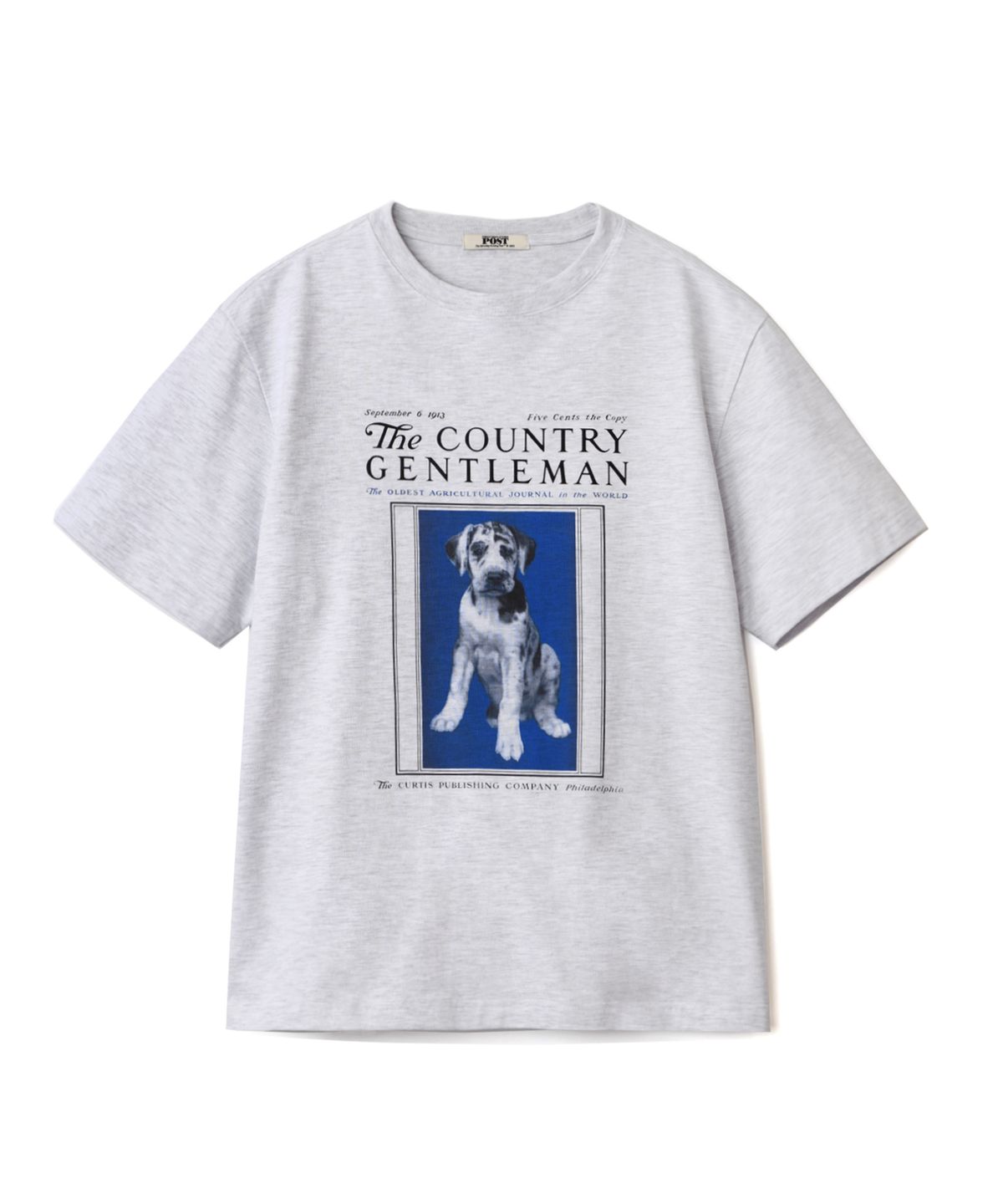 더 새터데이 이브닝 포스트(THE SATURDAY EVENING POST) Blue Puppy Graphic T-Shirt Light Gray