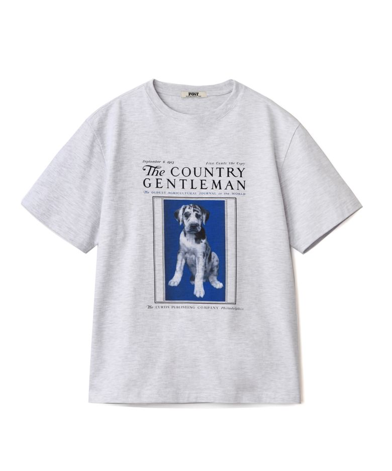 Blue Puppy Graphic T-Shirt Light Gray
