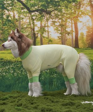 강아지 해충방지옷 올인원 쿨링수트 레몬