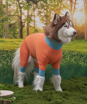 강아지 해충방지옷 올인원 쿨링수트 딥코랄