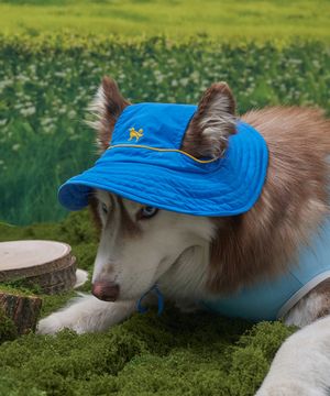 강아지모자 아웃도어 캡 블루