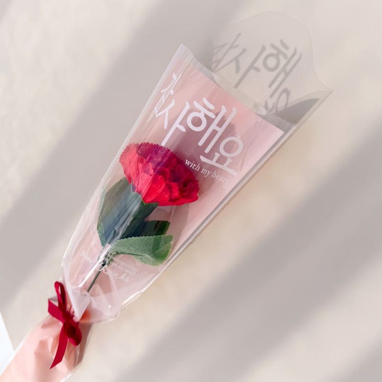 어버이날 감사해요 카네이션