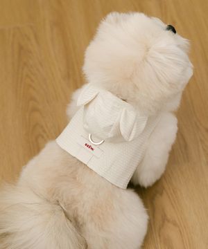 Love Walk 테디 하네스 - 크림