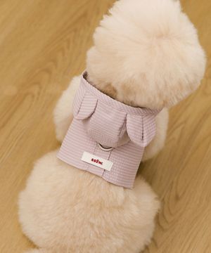 Love Walk 테디 하네스 - 핑크