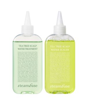 티트리 트리트먼트 250ml + 스케일러 250ml