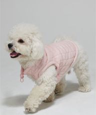 Thumbnail 0