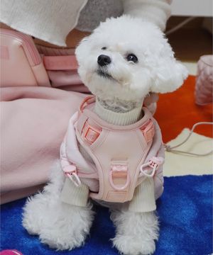 [maxbone] Easy Fit Harness - Light Pink