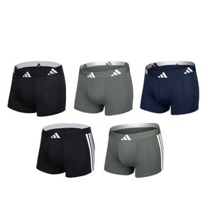 [5PACK] 남성 BOS 모던 시그니처 드로즈