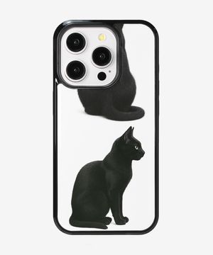 blackcat glass bumper case