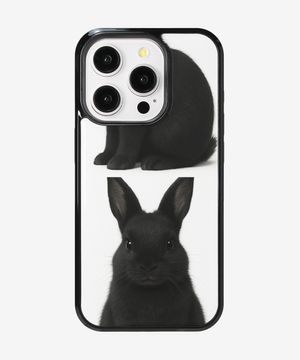 black rabbit glass bumper case