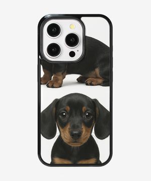 Dachshund glass bumper case
