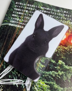 black rabbit 맥세이프 카드지갑 슬롯