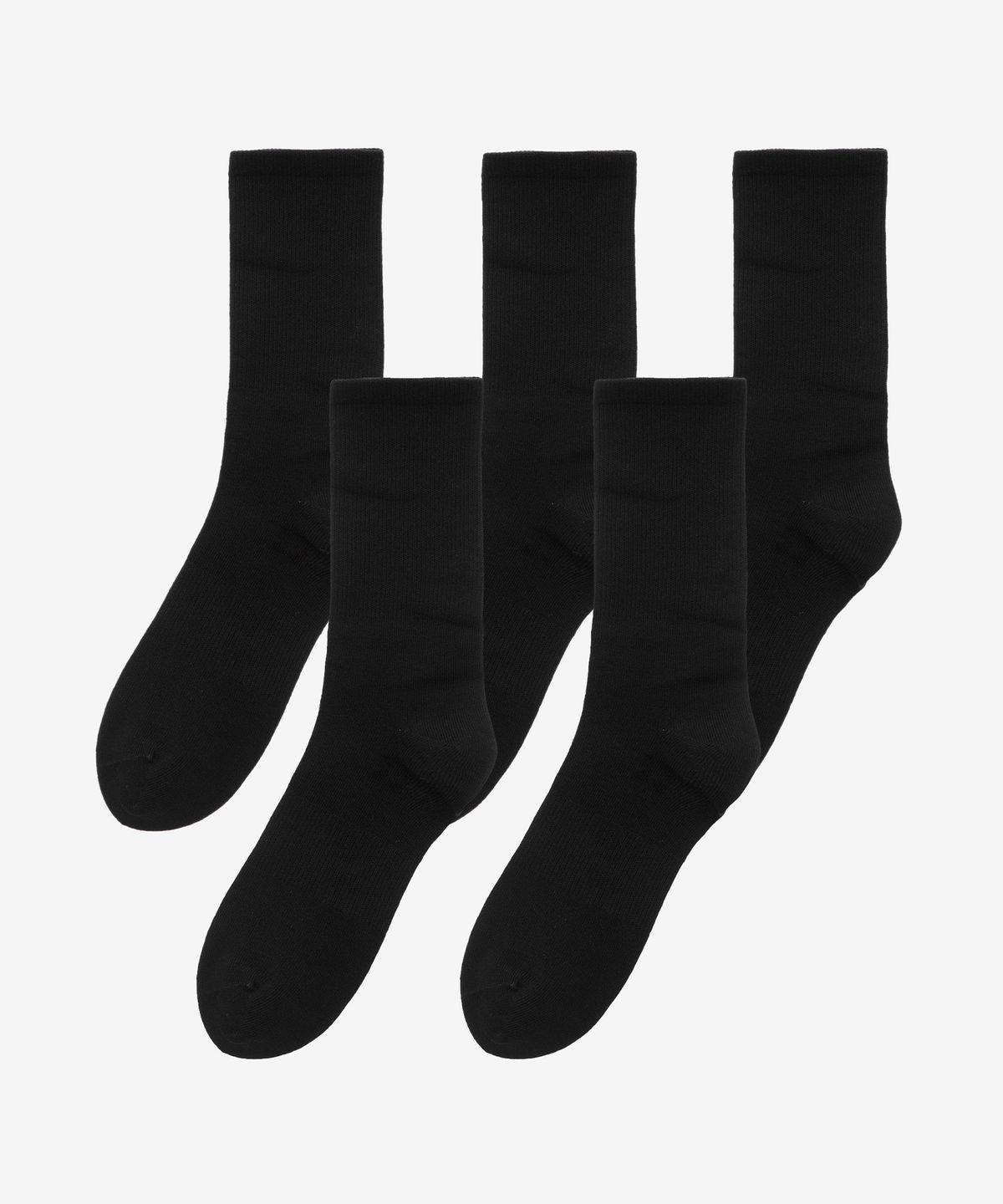 베이직하우스(BASIC HOUSE) [5PACK] 크루 삭스 5족 패키지 [블랙] LASC0001